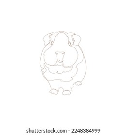 Brown outline guinea pig on white background. Vector illustration.