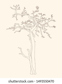brown outline illustration  crooked tree without leaves for kid and adult coloring book, tutorials. Print for home art, decorate wall, logo and flyer design. Isolated on beige background. eps 10
