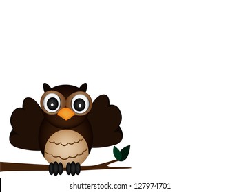 brown owl