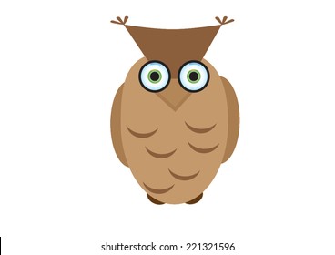 brown owl 