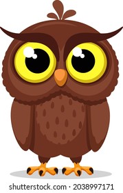 Brown owl close-up on a white background. The character