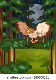 Brown owl flying in the jungle under full moon and stars