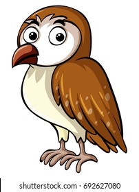 Brown owl on white background illustration