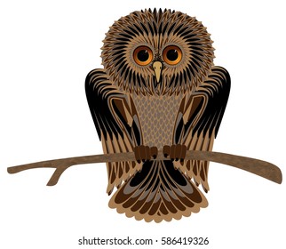 Brown owl sits on a pine branch. Vector