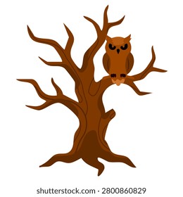 brown owl sitting on a spooky leafless tree branch