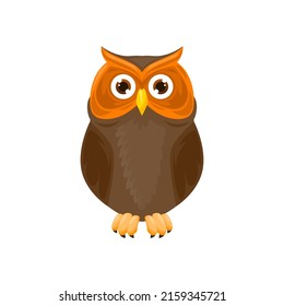 Brown owlet wild owl wise bird animal flat cartoon icon. Vector wild forest bird of prey, wildlife mascot. Colorful feathered barn, long eared eagle owl with wings, big eyes symbol of wisdom
