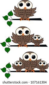 brown owls