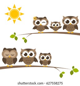 brown owls and owlets on the tree