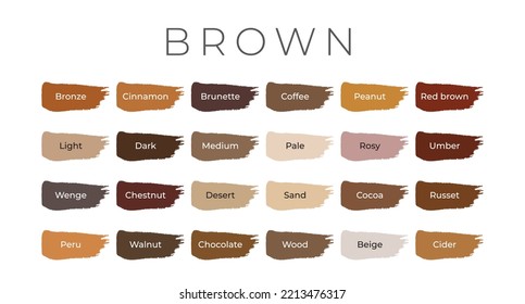 Brown Paint Color Swatches Shade Names Stock Vector (Royalty Free ...