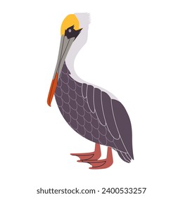 brown pelican animal have wing and neck with long beak wild nature water bird fauna environment