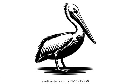 Brown pelican bird black and white illustration