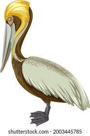 Brown Pelican in cartoon style on white background illustration