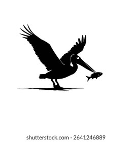 Brown pelican silhouette catching fish wildlife.