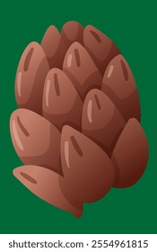 brown pine cone from christmas tree vector illustration