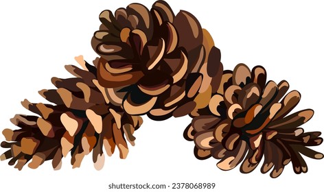 Brown pine cone with seeds. drawing of seasonal autumn pine cone . Autumn or fall, season, flora concept. vector. Eps 10