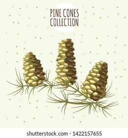 Brown pine cones on yellow background