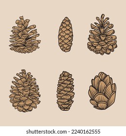 Brown Pine Cones Vector Illustration