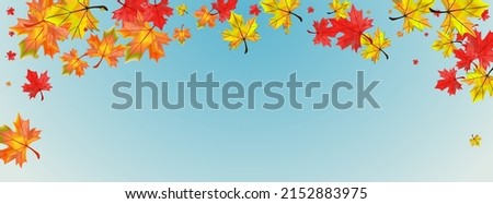 Similar – Bunter Rahmen Herbst