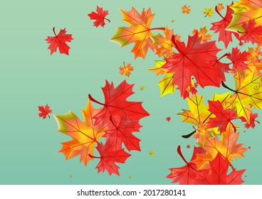 Brown Plant Background Green Vector. Floral Abstract Frame. Yellow Pattern Leaves. Isolated Leaf Illustration.