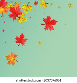 Vector verde de fondo de planta marrón. Tarjeta de diseño de hoja. Hojas de Red Down. Resumen de textura floral.