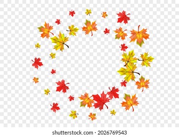 Brown Plant Background Transparent Vector. Leaf Paper Design. Red Isolated Leaves. Decor Foliage Illustration.