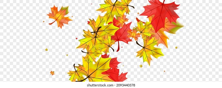 Vector transparente de fondo de planta marrón. Deja Plantilla Resumen. Foliage estacional otoñal. Ilustración floral de la naturaleza.