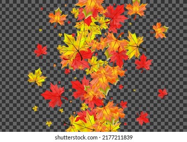 Vector transparente de fondo de planta marrón. Deja el diseño del patrón. Foliage de oro canadiense. Carta floral de decoración.