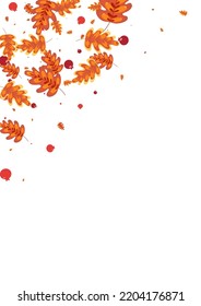 Brown Plant Background White Vector. Leaves Paper Texture. Red Acorn. Gradation Set. Green Leaf September.