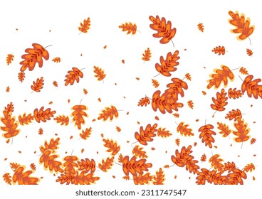 Brown Plant Background White Vector. Leaf Cartoon Design. Red Oak. Paper Illustration. Golden Leaves Elm.
