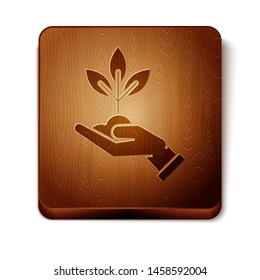 Brown Plant in hand of environmental protection icon isolated on white background. Seed and seedling. Planting sapling. Ecology concept. Wooden square button. Vector Illustration