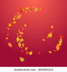 Brown Plant Vector Red Background. Flying Leaves Card. Autumnal Design Foliage Texture. Beautiful Illustration.