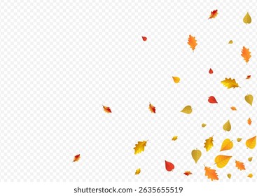 Brown Plant Vector Transparent Background. Isolated Leaves Card. Red Wallpaper Leaf Design. Down Texture.