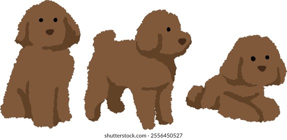 brown poodle pose flat ilustration