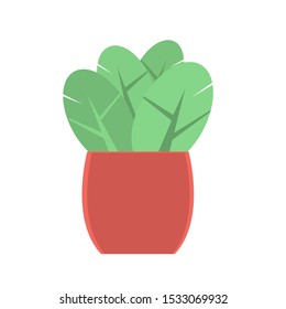 A brown pot with a green plant to decorate the interior or the street. Isolated object. Vector cartoon flat illustration