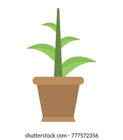 
A brown pot with plant inside it
