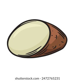 Brown potato slice vector hand drawn illustration.