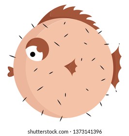 Un pez globo marrón que se explota con picos en el cuerpo y aletas marrones oscuras dibujo de color vectorial o ilustración 