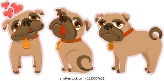 brown pug with a red collar experiences various emotions
