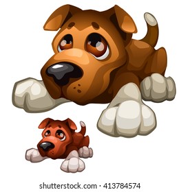 Brown puppy lying on the floor. Vector illustration.