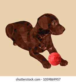 Brown puppy with a red ball on a light background with triangle style. Vector illustration.