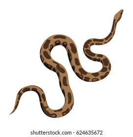 Brauner Pythonschlange, Vektorgrafik