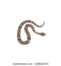 Brown Python Vector Illustration Isolated Tropical Stock Vector ...