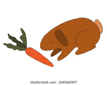 Brown rabbit with carrot isolated on white background