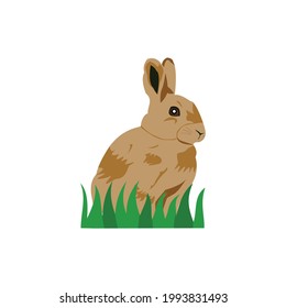 brauner Kaninchen-Grafik-Gambar