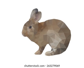 Brown rabbit low polygon