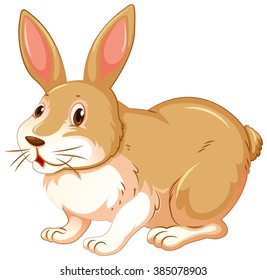 bunnies clip art