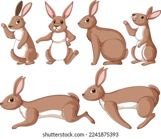 Brown rabbits in different poses set illustration