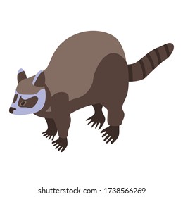 Brown raccoon icon. Isometric of brown raccoon vector icon for web design isolated on white background