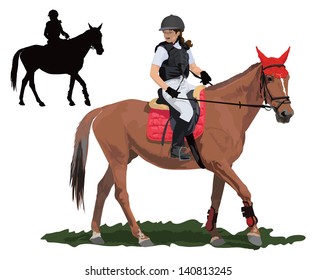 Brown race horse and lady jockey in uniform. Detailed color vector illustration.