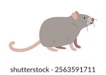 Brown rat cartoon clipart. Big mouse rat vector illustration in flat style. Hand-drawn wild animal concept